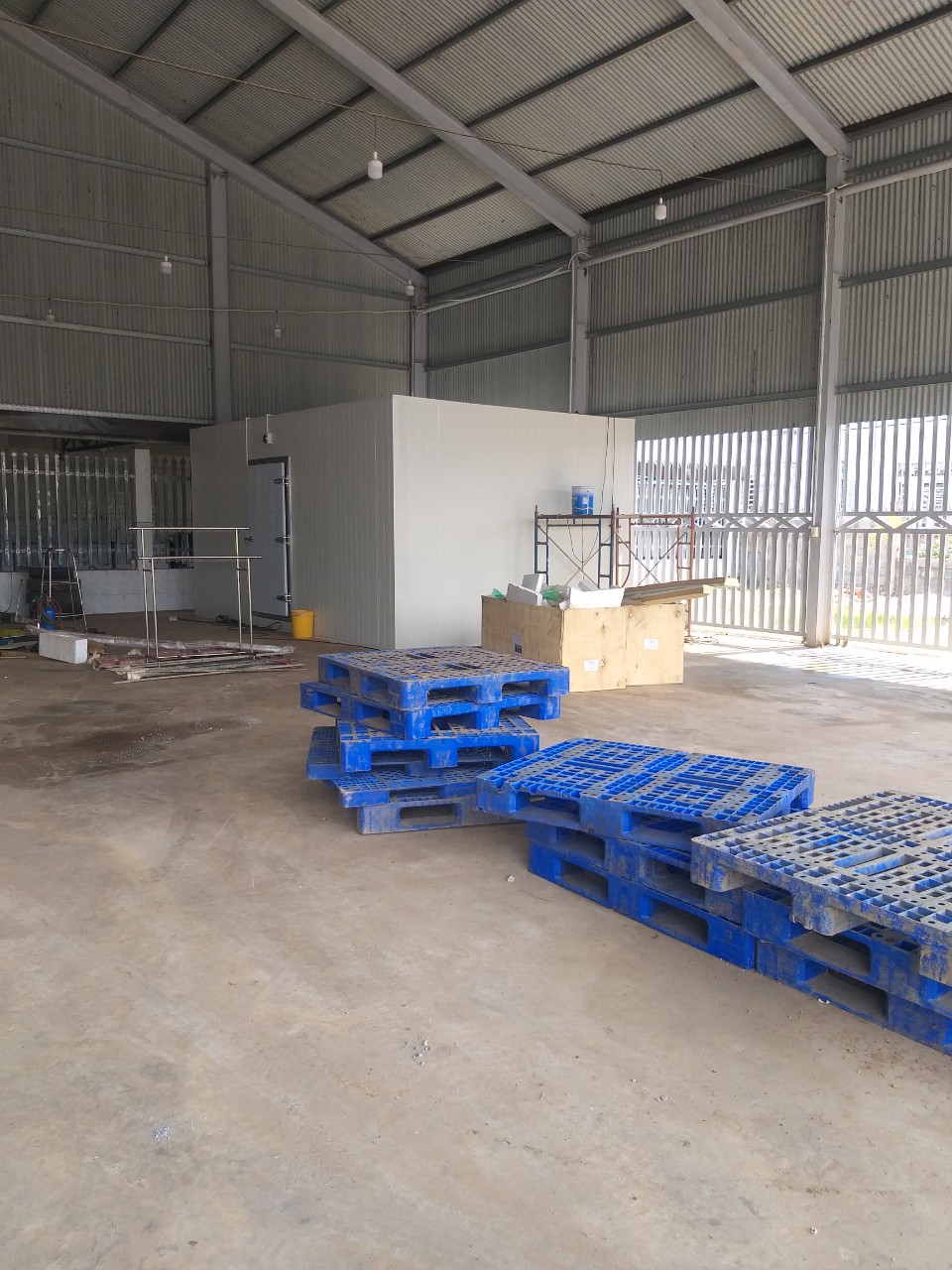 Lắp đặt kho lạnh bảo quản thịt bò nhanh chóng giá tốt số 1 Cần Thơ