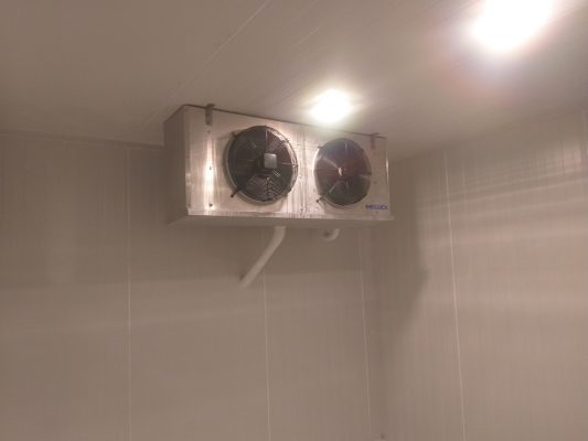 Lắp đặt kho lạnh bảo quản thịt bò nhanh chóng giá tốt số 1 Cần Thơ