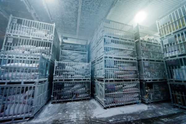 Đơn vị thi công lắp đặt kho lạnh bảo quản hải sản giá tốt rẻ nhất Nhà Bè - Đồng Nai