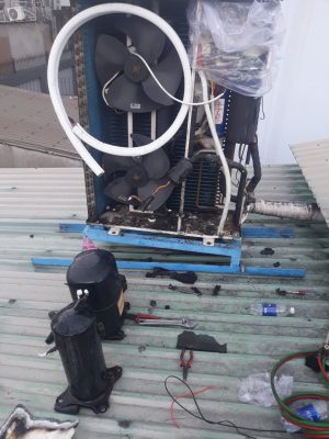 Lắp đặt kho lạnh bảo quản hoa tươi chuyên nghiệp uy tín tại Bình Dương