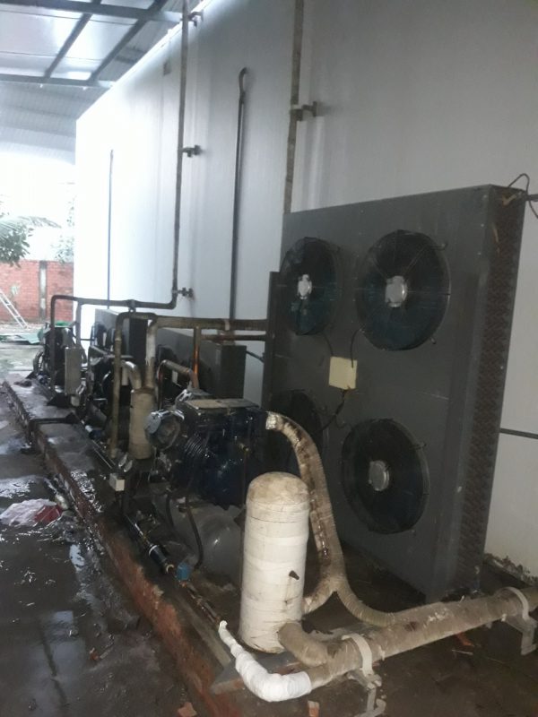 Kho Lạnh Ngọc Nhi HCM