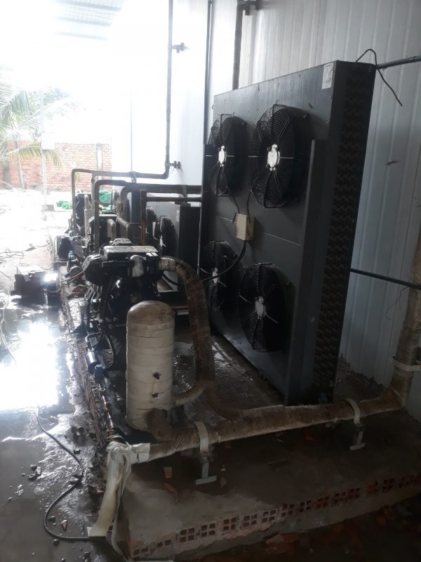 Kho Lạnh Ngọc Nhi HCM