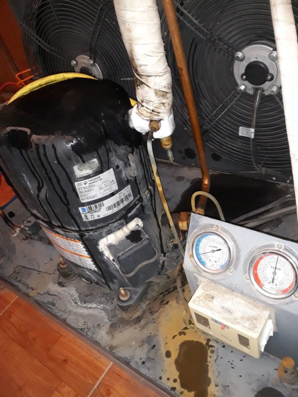 Kho Lạnh Ngọc Nhi HCM